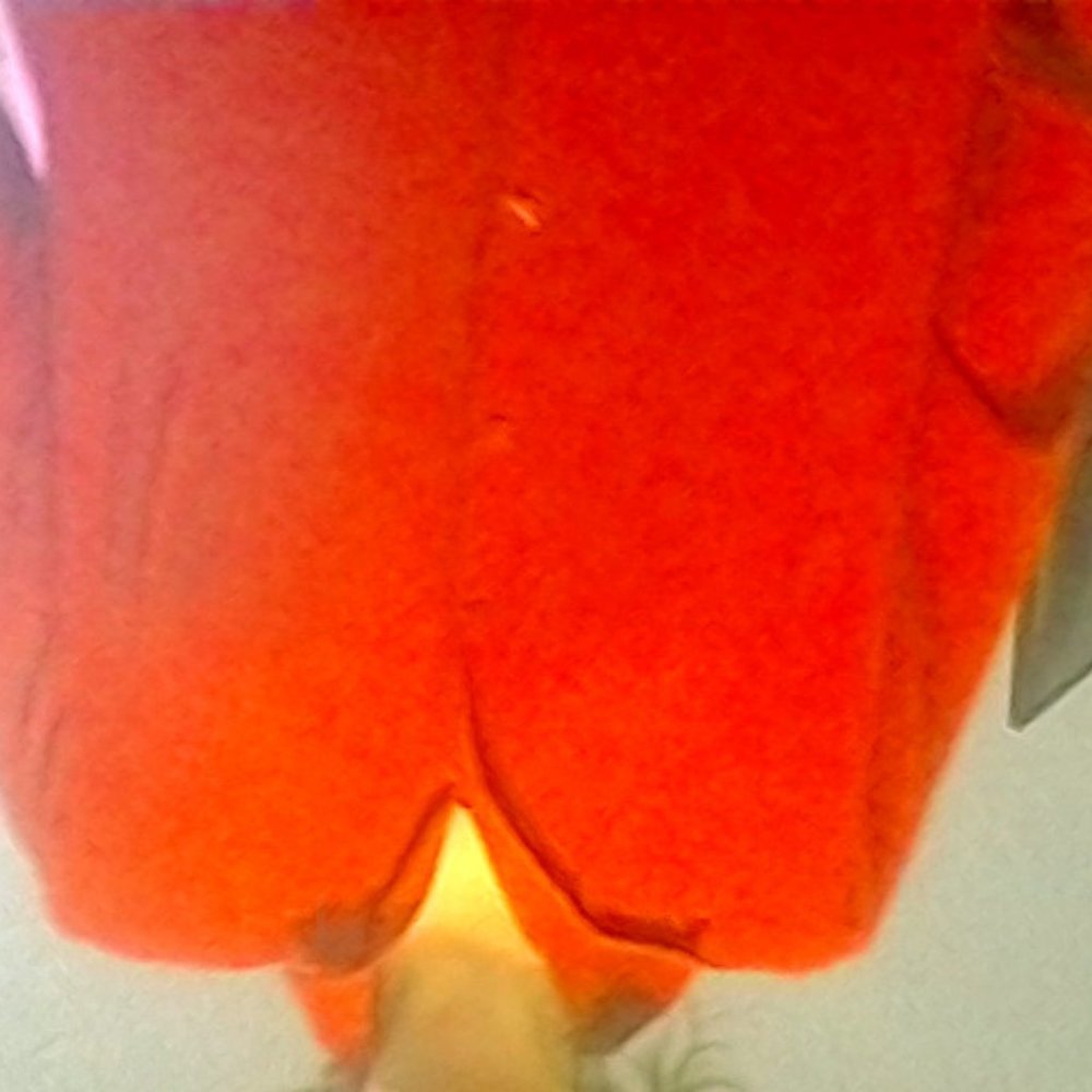 Red pinstripe shirt
